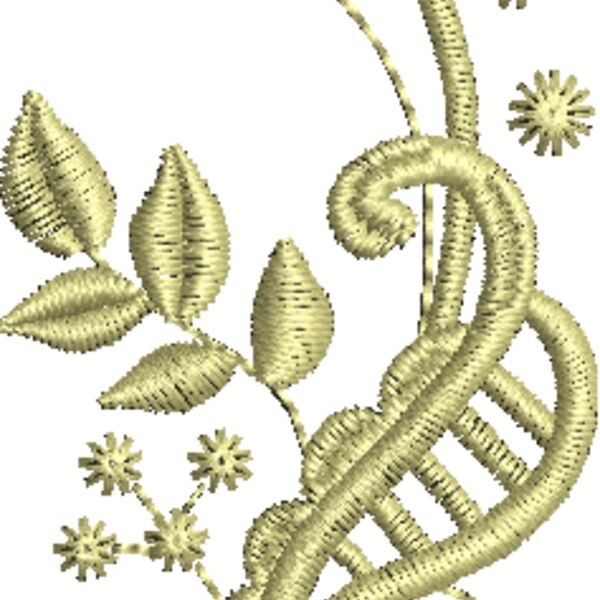 FP737 Thumbnail